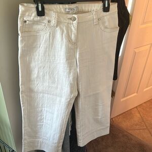 CAbi capris size 6